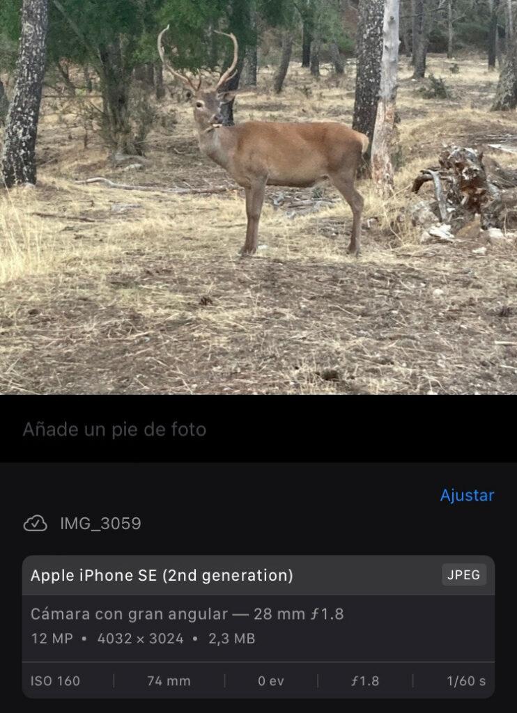 EXIF