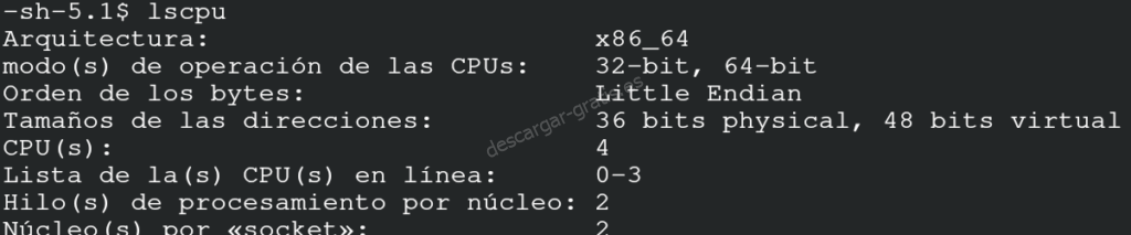 lscpu