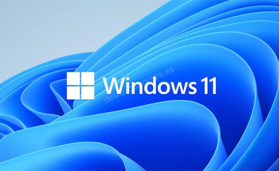 Windows 11
